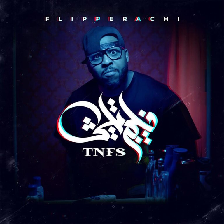 Read more about the article T.N.F.S – Flipperachi